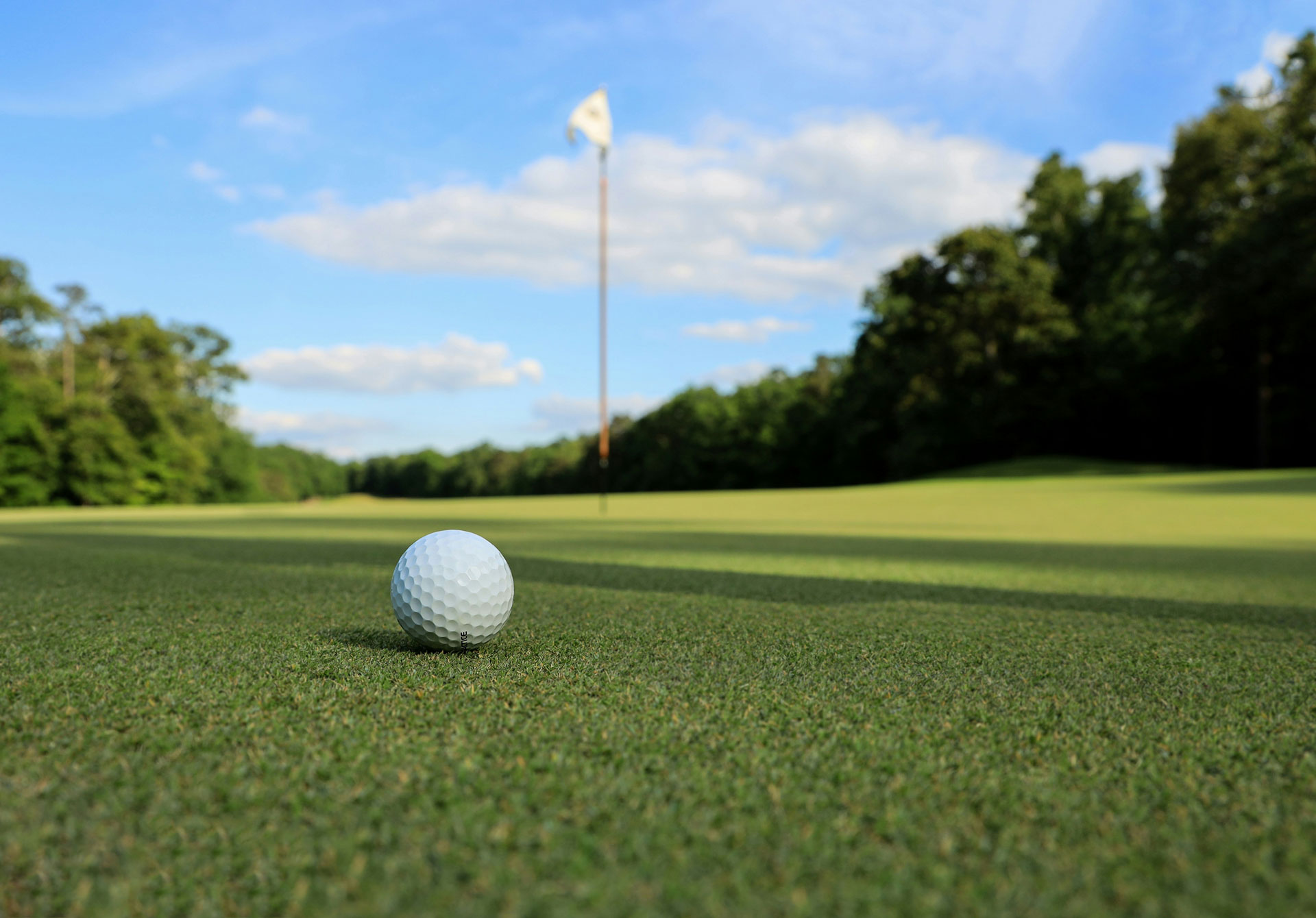 AS EXCELSIOR - SECTION GOLF