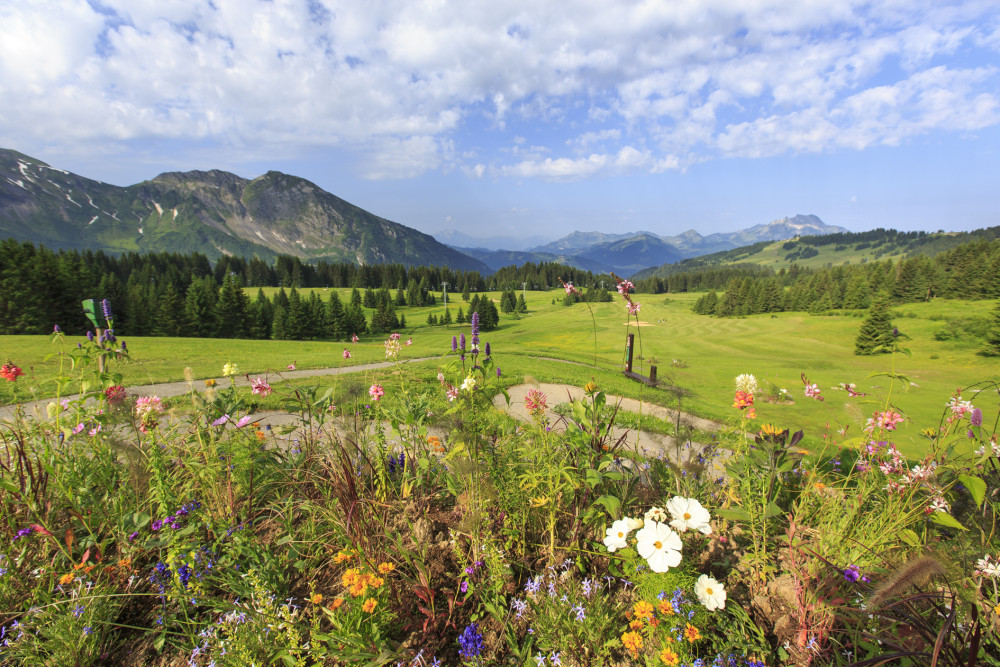 GOLF AVORIAZ-MORZINE