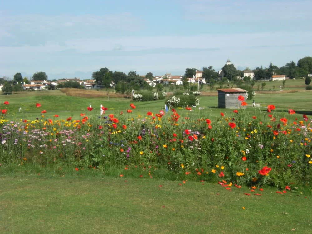 GOLF BLUEGREEN DOMAINE DES FORGES