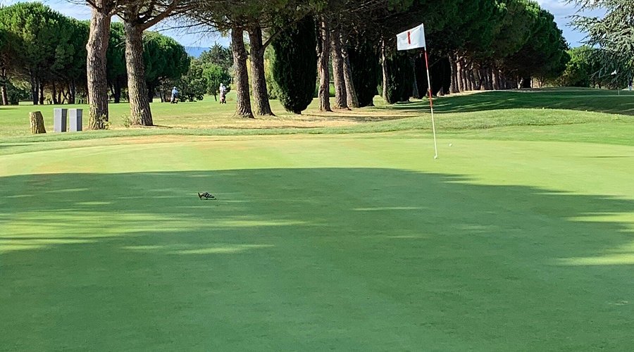 GOLF CLUB DE CARCASSONNE