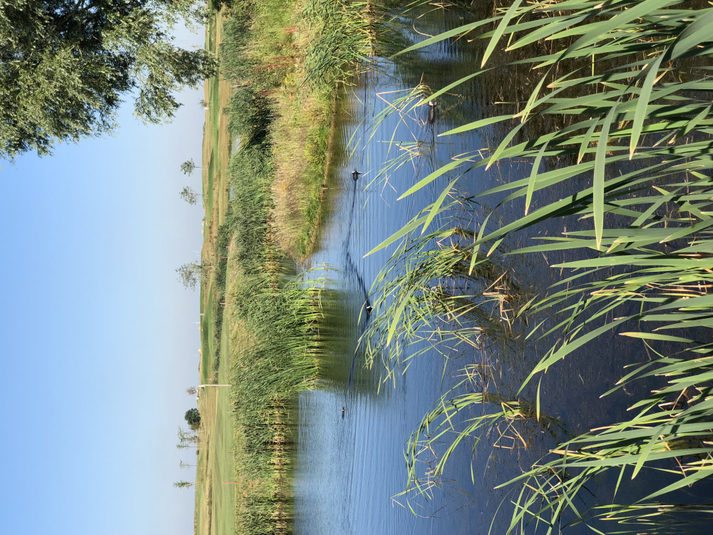 GOLF CLUB DU CAMBRESIS