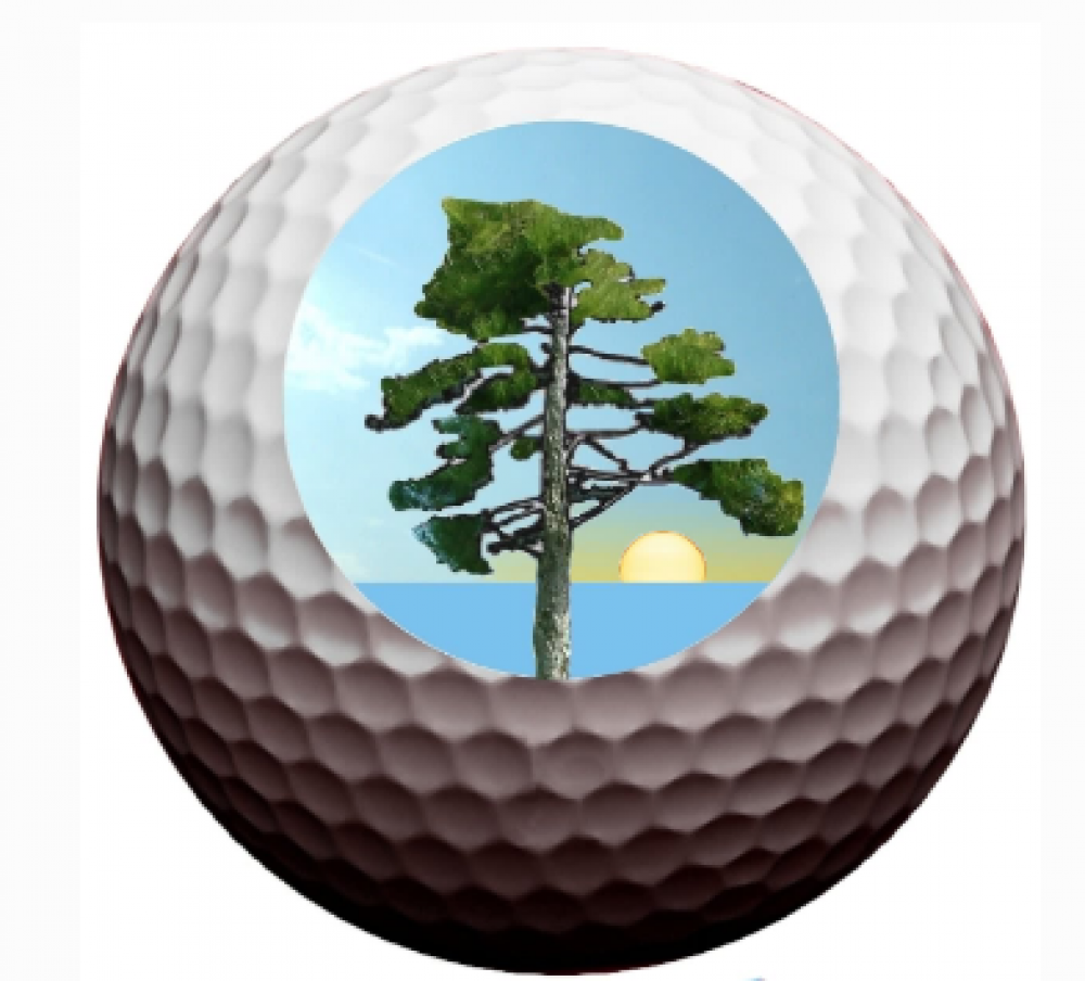 GOLF COTE BLEUE