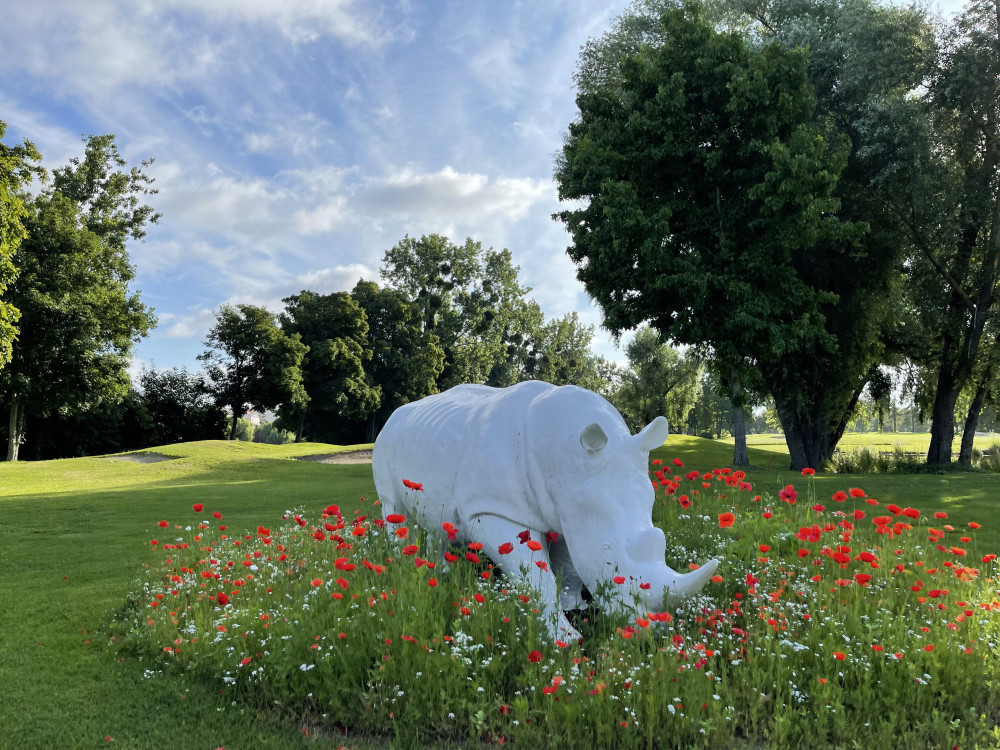 GOLF DE L'ILE FLEURIE