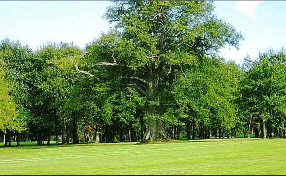 GOLF DE NANCAY-SOLOGNE